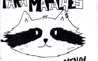 Guía de supervivéncia para mapaches
