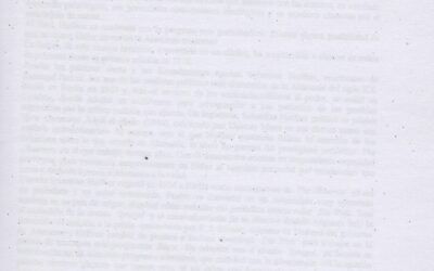 Anotaciones sobre Hitler